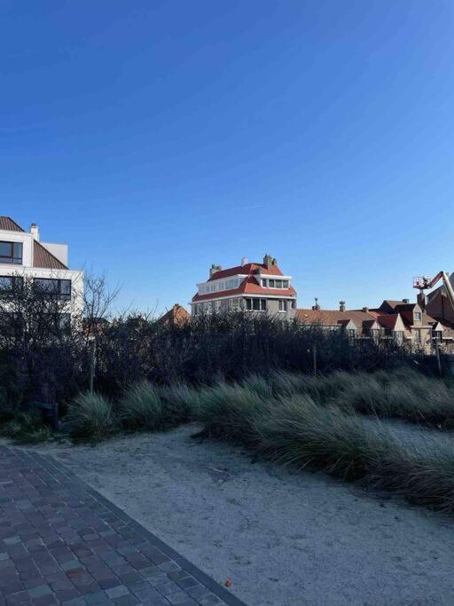 Studio Dune Ostend Luaran gambar